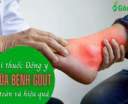 Bài thuốc Đông Y chữa bệnh Gout an toàn và hiệu quả