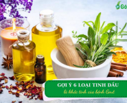 Gợi ý 6 loại tinh dầu là “khắc tinh” của các cơn đau Gout
